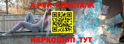 спиды Кингисепп