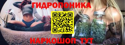 тгк Кимры