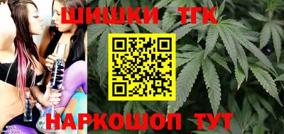 спиды Кингисепп