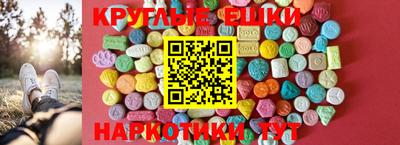 спиды Кингисепп