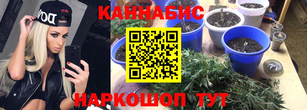 Крымск  Бошки марихуана планчик  Бошки Шишки AK-47  МАРИХУАНА тримм  Бошки марихуана MAZAR  Вход с VPN 